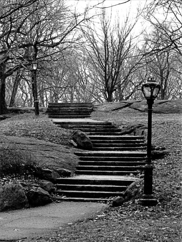 Jeff Pica, CENTRAL PARK I (Park, Landschaft, New York, Herbst, Treppe, Laterne, karg, Fotokunst, Wunschgröße, Wohnzimmer, Treppenhaus, schwarz/weiß)