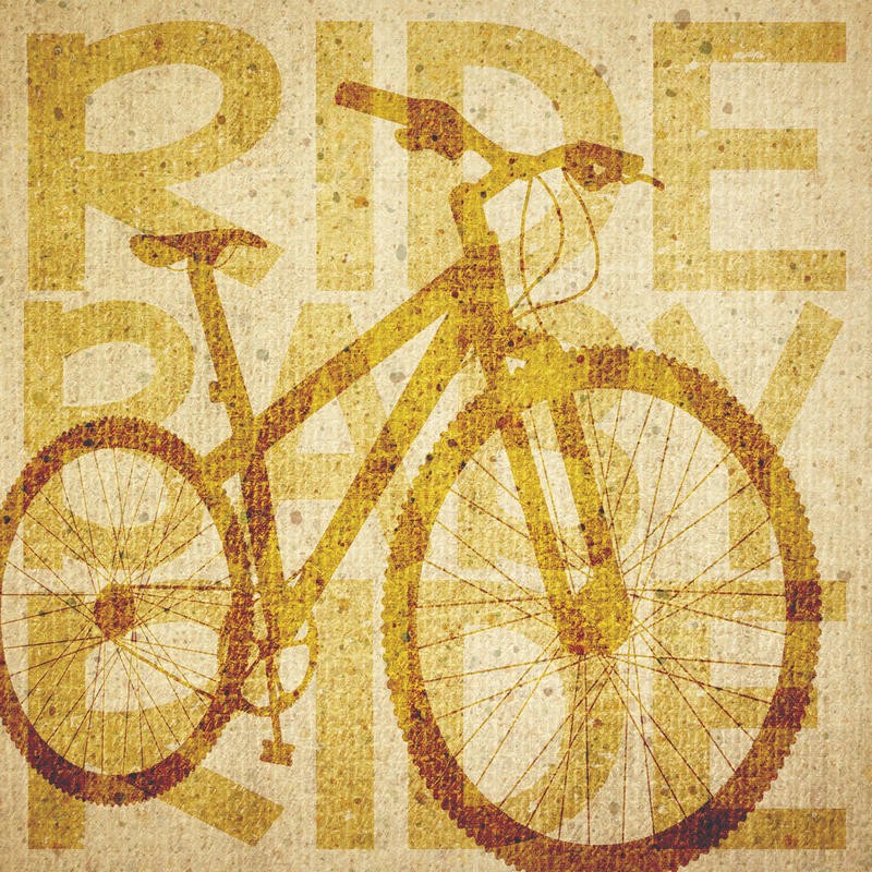 Melody Hogan, BIKE CANVAS I (REISEN)