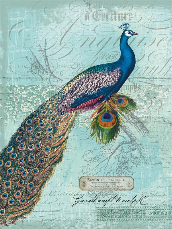 Ophelia & Co, PEACOCK TEAL II (Pfau, Pfauenfedern, Pfauenaugen, Vogel, stolz, Kalligrafie, Ornamente, Blumen, Rosen, Nostalgie, Grafik, Wunschgröße, Wohnzimmer, Treppenhaus, bunt)