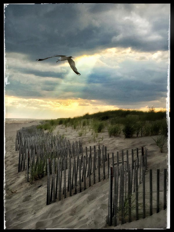 Joseph Rowland, TWILIGHT II (Meer, Sand, Düne, Dünengras, Möwe, Sonnenstrahl, Meeresbrise, maritim, Zaun, Sandzäune, Dämmerung, Wolken, Fotokunst, Wohnzimmer, Treppenhaus, Wunschgröße, bunt)