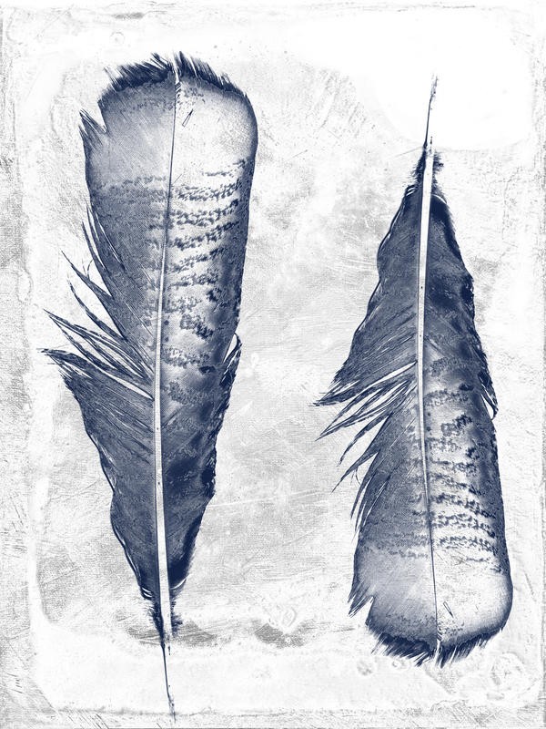 Sheldon Lewis, WHITE FEATHER II (Federn, Vogelfedern, Wohnzimmer, Jugendzimer, Treppenhaus, Grafik, Wunschgröße, grau/blau)