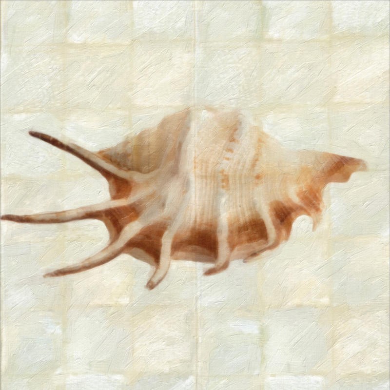 Taylor Greene, MOTHER OF PEARL SHELL I (Muschel, Perlmuschel, Zacken, maritim, Meerestiere, Wunschgröße, Badezimmer, Treppenhaus)