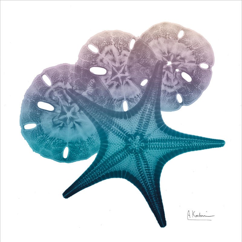 Albert Koetsier, OCEAN STARFISH II (X-RAY)