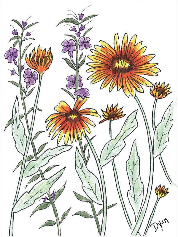 Beverly Dyer, FLOWER MIX III (Blüten, Blumen, Blumenmix, Grafik, Wohnzimmer, Treppenhaus, Malerei, Wunschgröße, bunt)