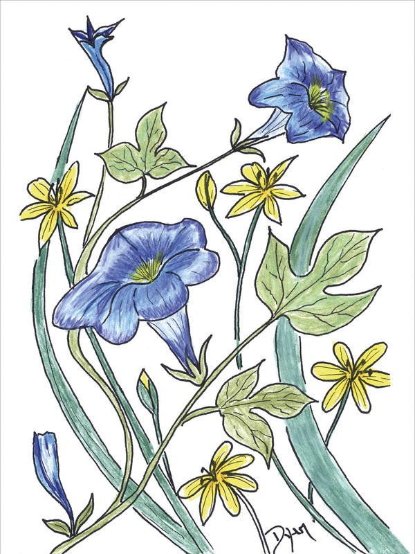 Beverly Dyer, FLOWER MIX IV (Blüten, Blumen, Blumenmix, Grafik, Wohnzimmer, Treppenhaus, Malerei, Wunschgröße, bunt)