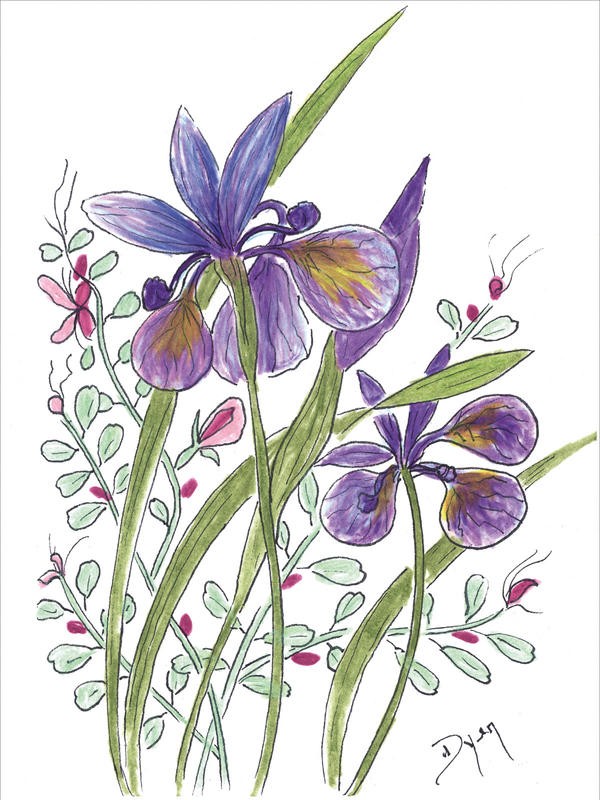 Beverly Dyer, SUMMER FLOWERS I (Blüten, Blumen, Blumenmix, Grafik, Wohnzimmer, Treppenhaus, Malerei, Wunschgröße, bunt)