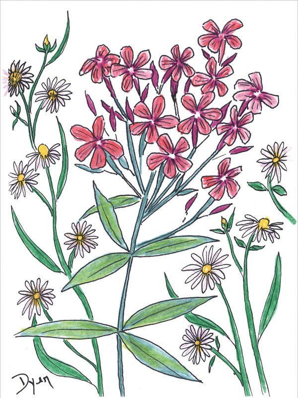 Beverly Dyer, SUMMER FLOWERS II (Blüten, Blumen, Blumenmix, Grafik, Wohnzimmer, Treppenhaus, Malerei, Wunschgröße, bunt)
