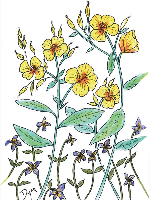 Beverly Dyer, SUMMER FLOWERS III (Blüten, Blumen, Blumenmix, Grafik, Wohnzimmer, Treppenhaus, Malerei, Wunschgröße, bunt)