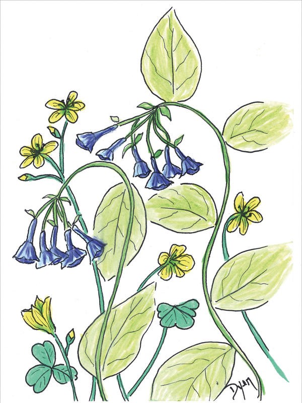 Beverly Dyer, SUMMER FLOWERS IV (Blüten, Blumen, Blumenmix, Grafik, Wohnzimmer, Treppenhaus, Malerei, Wunschgröße, bunt)