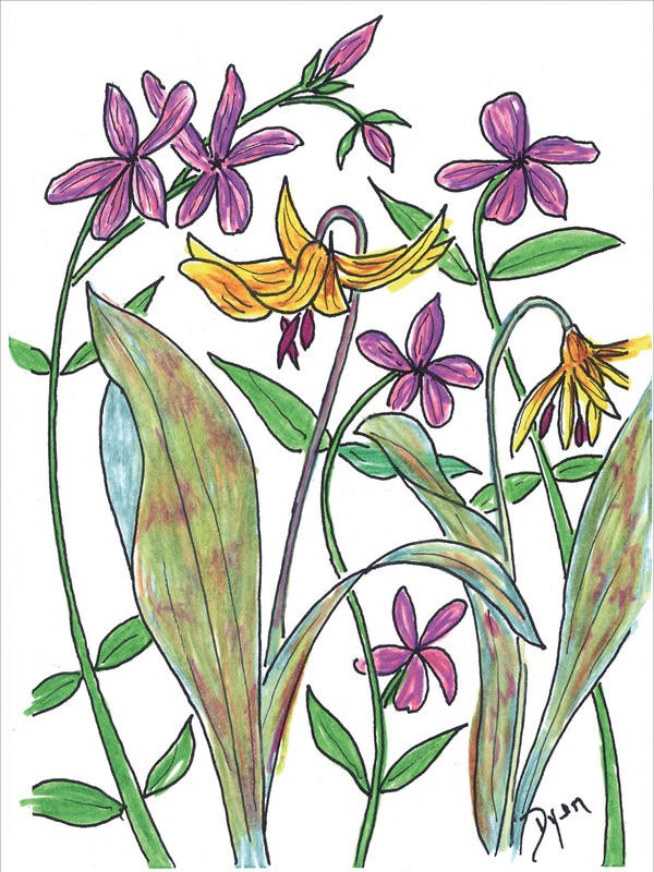 Beverly Dyer, SUMMER FLOWERS V (Blüten, Blumen, Blumenmix, Grafik, Wohnzimmer, Treppenhaus, Malerei, Wunschgröße, bunt)