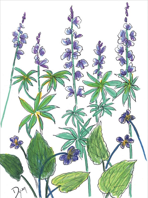 Beverly Dyer, SUMMER FLOWERS VI (Blüten, Blumen, Blumenmix, Grafik, Wohnzimmer, Treppenhaus, Malerei, Wunschgröße, bunt)