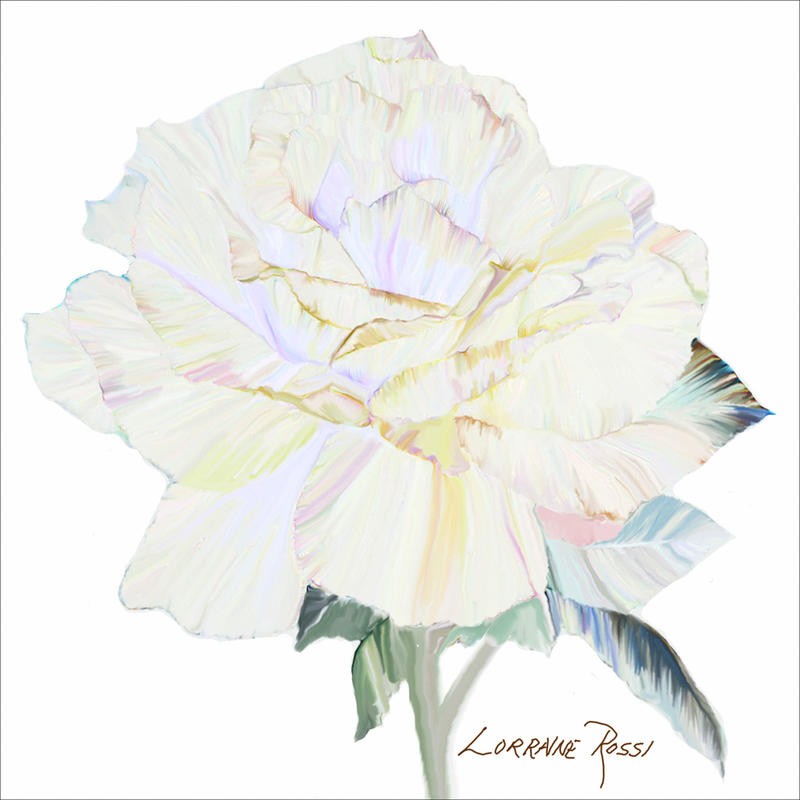 Rossi Lorraine, PEACE ROSE I (Rose, Blume, Blüte, elegant, zart, Grafik, Wunschgröße, Wohnzimmer, Treppenhaus, Schlafzimmer, weiß)