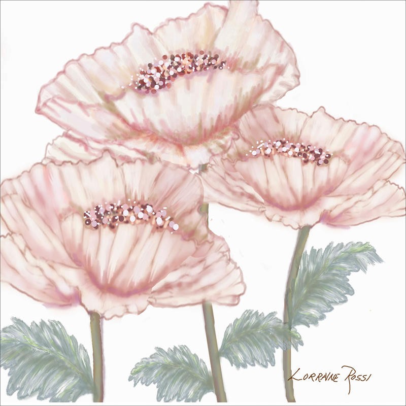 Rossi Lorraine, PINK POPPIES II (Mohnblumen, Blumen, Blüten, transparent, zart, Ornamente, Retro, Muster, Grafik, Wunschgröße, Wohnzimmer, Treppenhaus, Schlafzimmer, rosa)