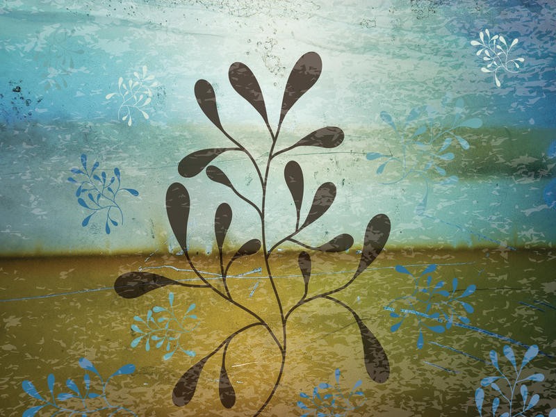 Melody Hogan, CONTEMPORARY FLORALS II (BOTANIK)