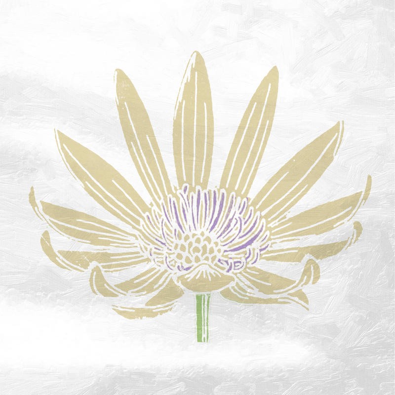Sheldon Lewis, PASTEL FLOWER I (Blume, Blüte, Blütenblätter, blass, pastell, Treppenhaus, Schlafzimmer, Wunschgröße, beige)