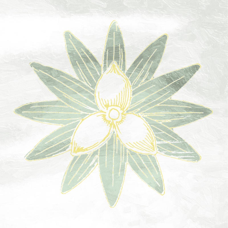 Sheldon Lewis, SOFT TEXTURE FLOWER I (Blume, Blüte, Blütenblätter, blass, pastell, Treppenhaus, Schlafzimmer, Wunschgröße, grün/beige)