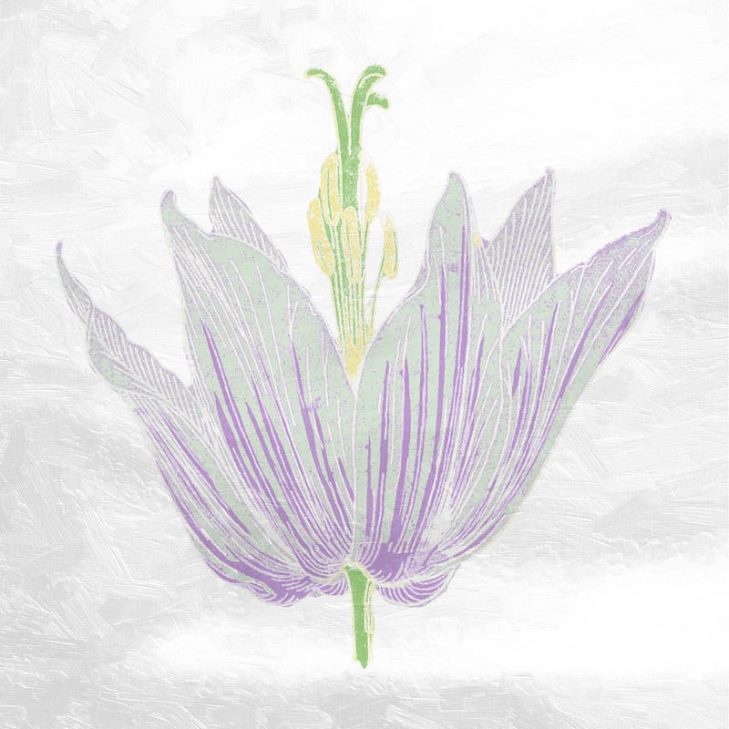 Sheldon Lewis, PASTEL FLOWER II (Blume, Blüte, Blütenblätter, blass, pastell, Treppenhaus, Schlafzimmer, Wunschgröße, grau beige)