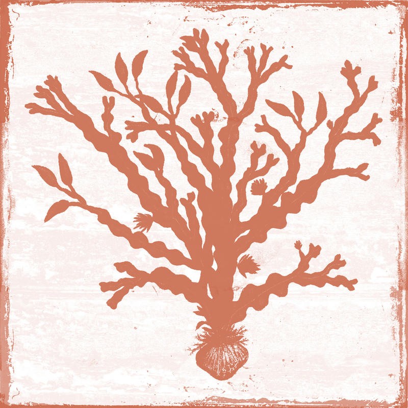 Sheldon Lewis, AT THE COAST BROWN II (Koralle, Korallenbaum, maritim, Meerestier, Studie, vintage/retro, shabby, Wunschgröße, Grafik, Badezimmer, Treppenhaus,rot/beige)