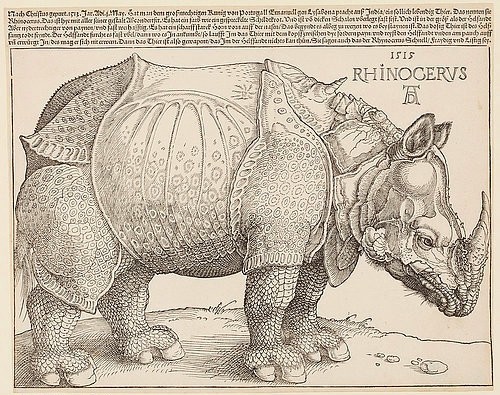 Albrecht Dürer, RHINOCERUS. 1515 (Städel Museum,Frankfurt am Main,Dürer,Albrecht,1471-1528,Graphische Sammlung,Holzschnitt und Typendruck,Dürer,Albrecht Dürer,grafik,nashorn,tier,naturalistisch,holzschnitt,renaissance,deutsch,deutschland,Rhinocerus,rhinozeros)