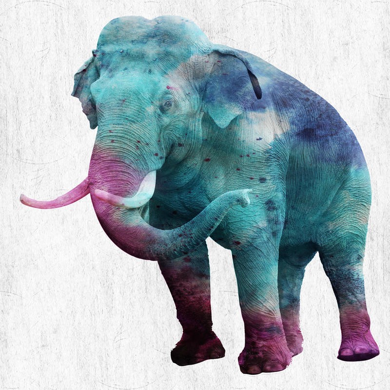 Sheldon Lewis, WILD ELEPHANT (Elefant, Großwild, Tier, Fotokunst, pop art, Wunschgröße, Grafik, Jugendzimmer, Wohnzimmer, Treppenhaus, neon/bunt)