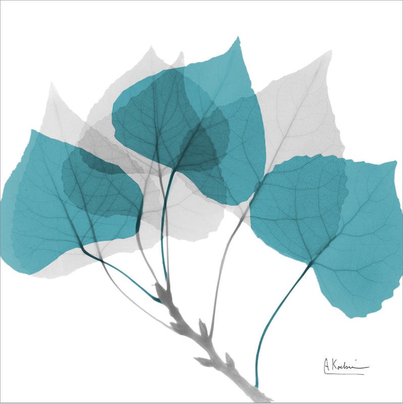 Albert Koetsier, TEAL FOLIAGE I (X-RAY)