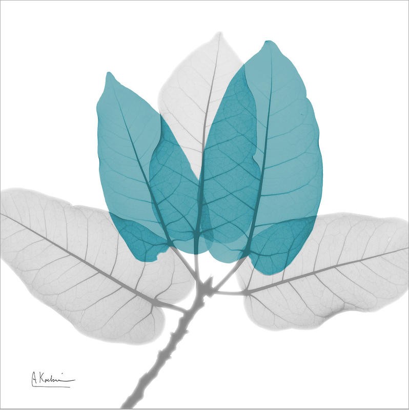 Albert Koetsier, TEAL FOLIAGE II (X-RAY)