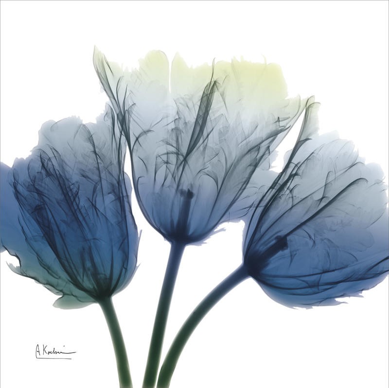 Albert Koetsier, MIDNIGHT BLUE II (X-RAY)