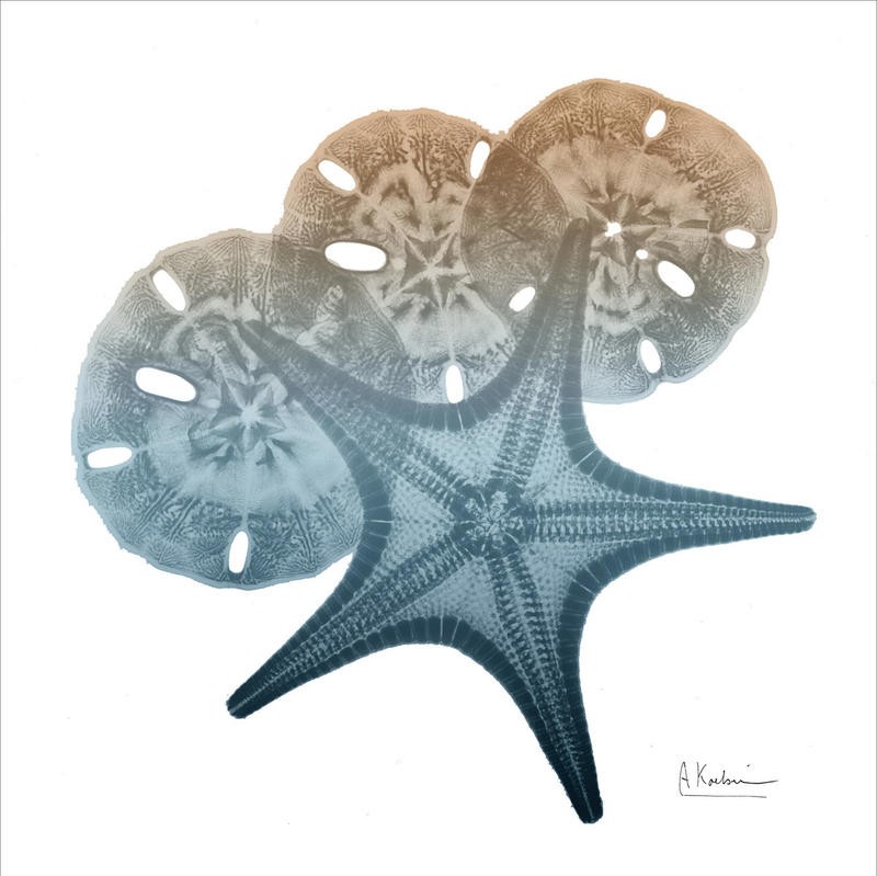 Albert Koetsier, MAGICAL II (X-RAY)