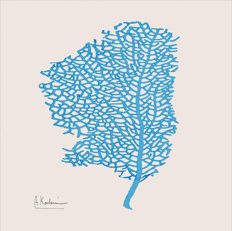 Albert Koetsier, SEALIFE BLUE PART I (X-RAY)