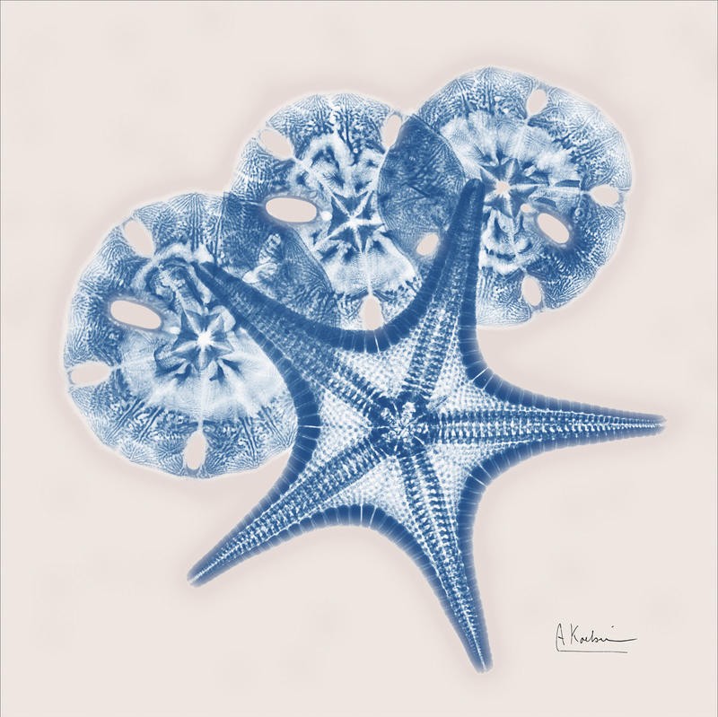 Albert Koetsier, SEALIFE BLUE PART III (X-RAY)