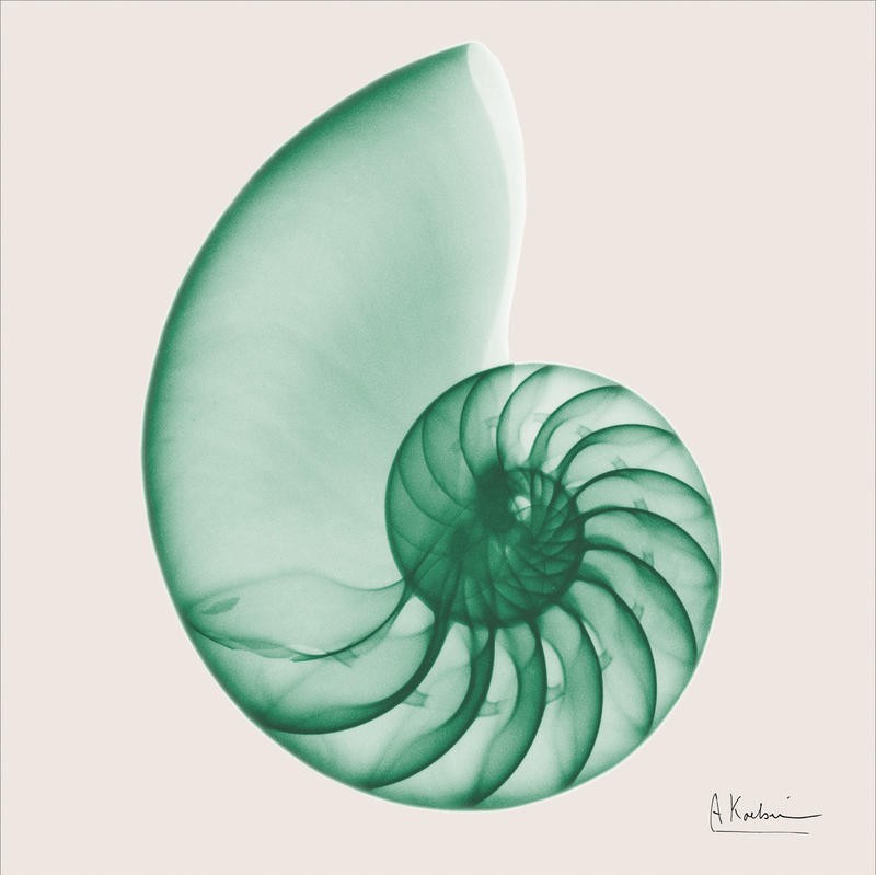 Albert Koetsier, SEALIFE GREEN PART I (X-RAY)