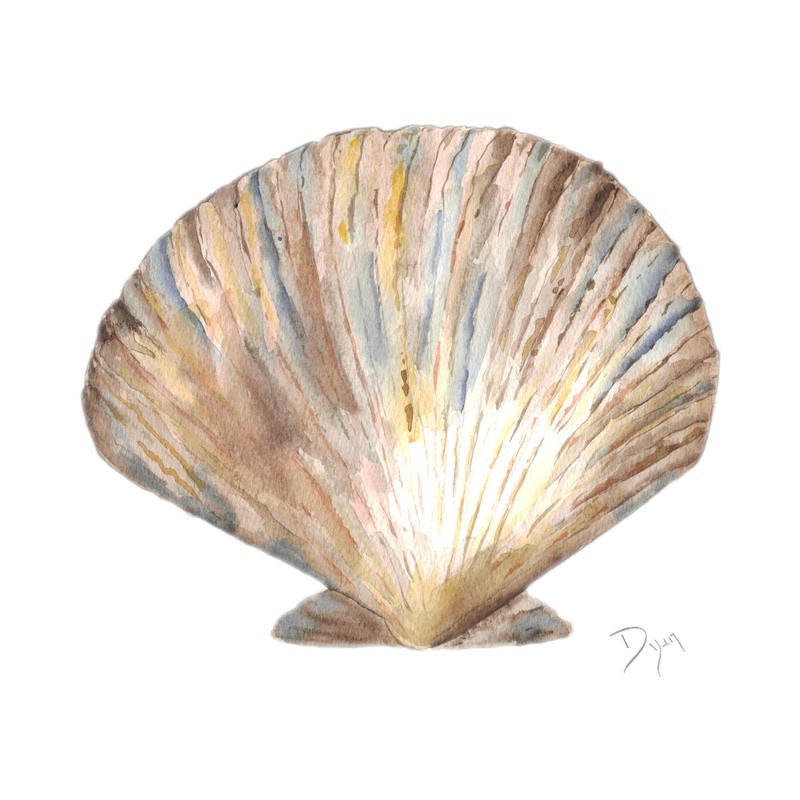 Beverly Dyer, SEA SHELL NEUTRAL II (Muschel, Muschelschale, Meerstier, Schalentier, maritim, Badezimmer, Wohnzimmer, Treppenhaus, Malerei, Wunschgröße, beige/braun)