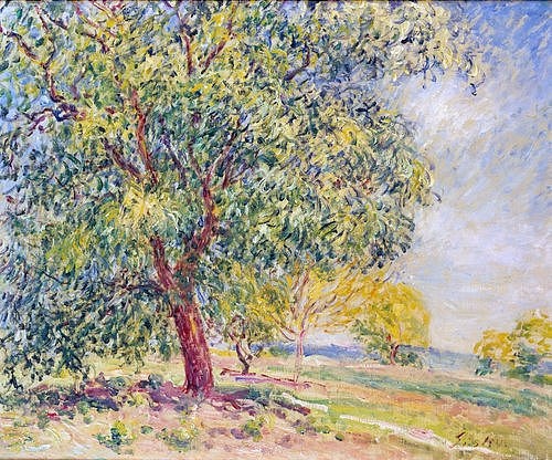 Alfred Sisley, Nußbäume bei Sablons. (Öl auf Leinwand,1839-1899,Christie's Images Ltd,Sisley,Alfred,Bäume,Baum,Sisley,Alfred Sisley,19. Jahrhundert,Frankreich,Impressionismus,impressionistisch,Landschaft,Natur,Nußbäume,Nußbaum,Sablons,sonnig,Sommer,Wiese,auf dem Land,ländlich,Frühling,hellgrü)