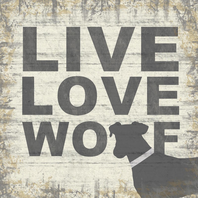 Lauren Gibbons, DOG LIVE LOVE (TIERE)