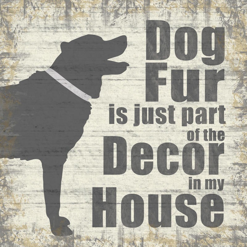 Lauren Gibbons, DOG FUR (TIERE)