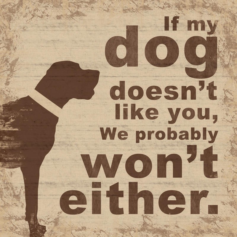 Lauren Gibbons, DOG LIKE (TIERE)