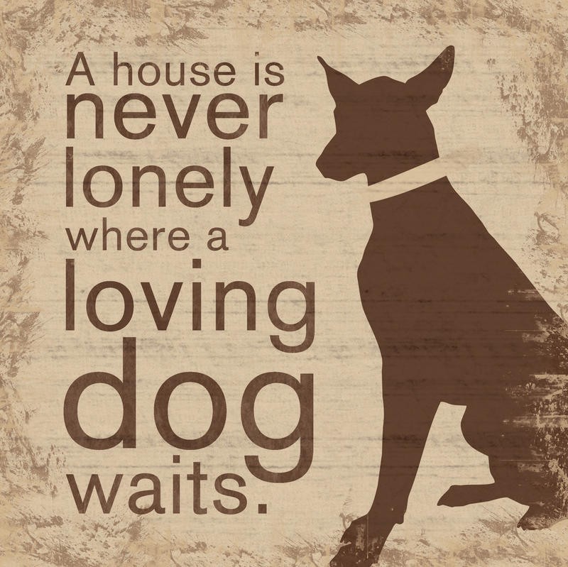 Lauren Gibbons, DOG LONELY HOUSE (TIERE)
