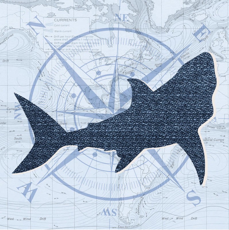Lauren Gibbons, SHARK (MARITIM)
