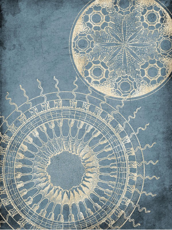 Jace Grey, COASTAL BLUE PATTERN I (MUSTER)