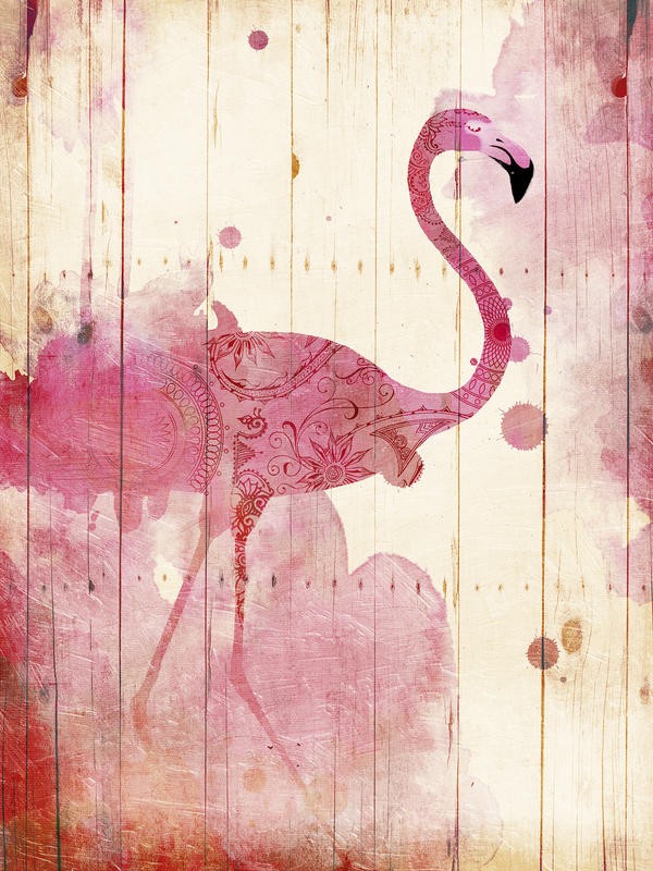 Jace Grey, FLAMINGO HENNA (VÖGEL)