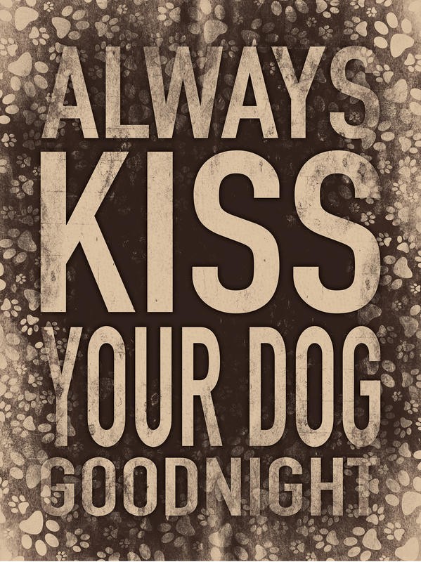 Jace Grey, KISS YOUR DOG (TIERE)