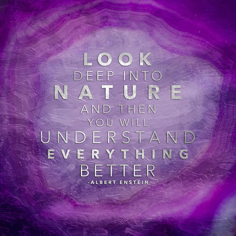 Jace Grey, NATURE III (TYPOGRAFIE)