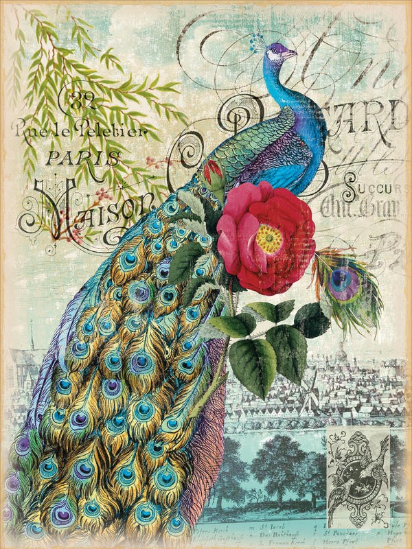 Ophelia & Co, NEW PEACOCK BLUE II (Pfau, Pfauenfedern, Pfauenaugen, Vogel, stolz, Kalligrafie, Ornamente, Blumen, Rosen, Nostalgie, Grafik, Wunschgröße, Wohnzimmer, Treppenhaus, bunt)