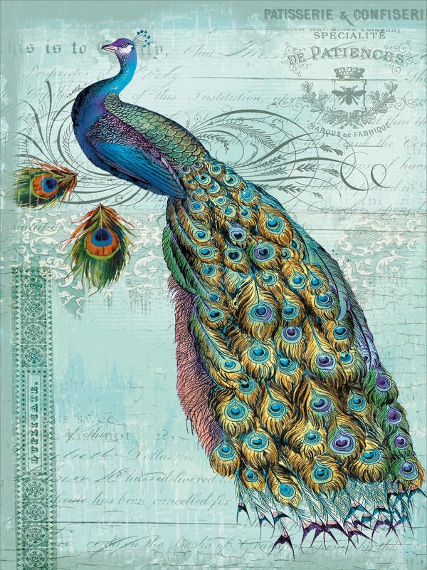 Ophelia & Co, PEACOCK TEAL I (Pfau, Pfauenfedern, Pfauenaugen, Vogel, stolz, Kalligrafie, Ornamente, Blumen, Rosen, Nostalgie, Grafik, Wunschgröße, Wohnzimmer, Treppenhaus, bunt)