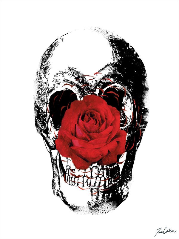 Tina Carlson, FLOWER SKULL II (Skull, Totenkopf, rote Rose, Blume, Blüte, Jung und Wild, Grafik, Wunschgröße, Wohnzimmer, Treppenhaus, Jugendzimmer, schwarz/weiß, rot)