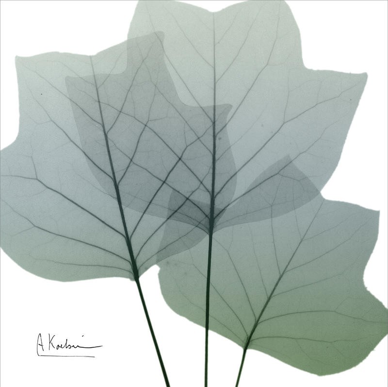 Albert Koetsier, LIGHT GREEN I (X-RAY)