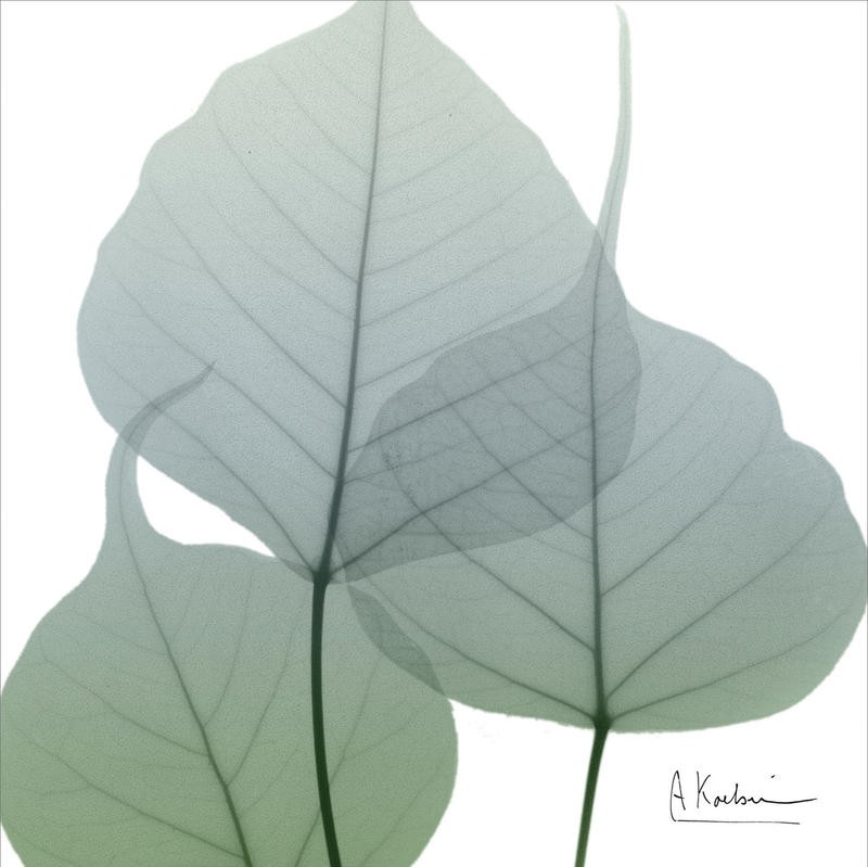 Albert Koetsier, LIGHT GREEN II (X-RAY)