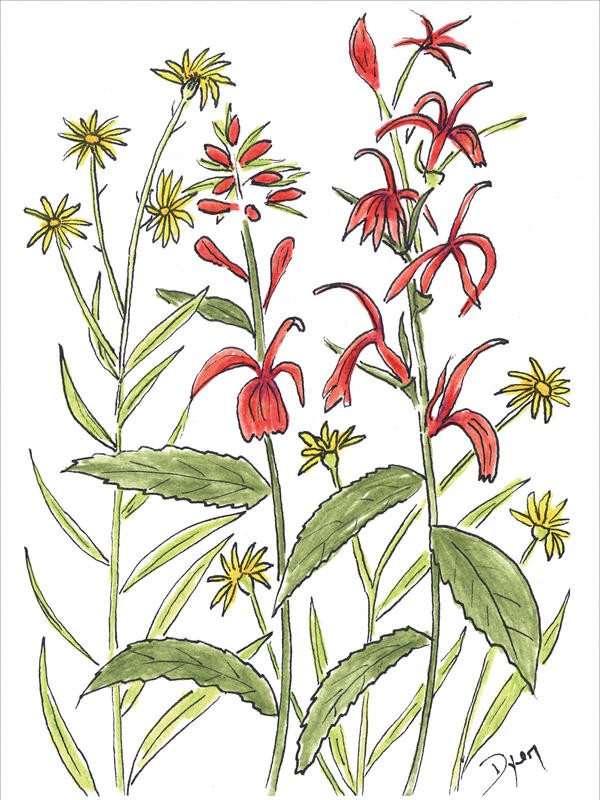 Beverly Dyer, FLOWER MIX II (Blüten, Blumen, Blumenmix, Grafik, Wohnzimmer, Treppenhaus, Malerei, Wunschgröße, bunt)