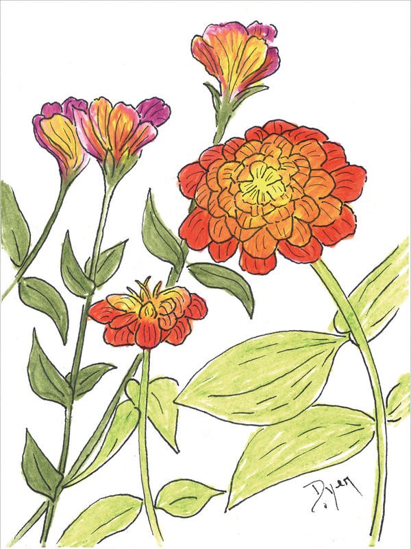 Beverly Dyer, SUMMER FLOWERS VII (Blüten, Blumen, Blumenmix, Grafik, Wohnzimmer, Treppenhaus, Malerei, Wunschgröße, bunt)