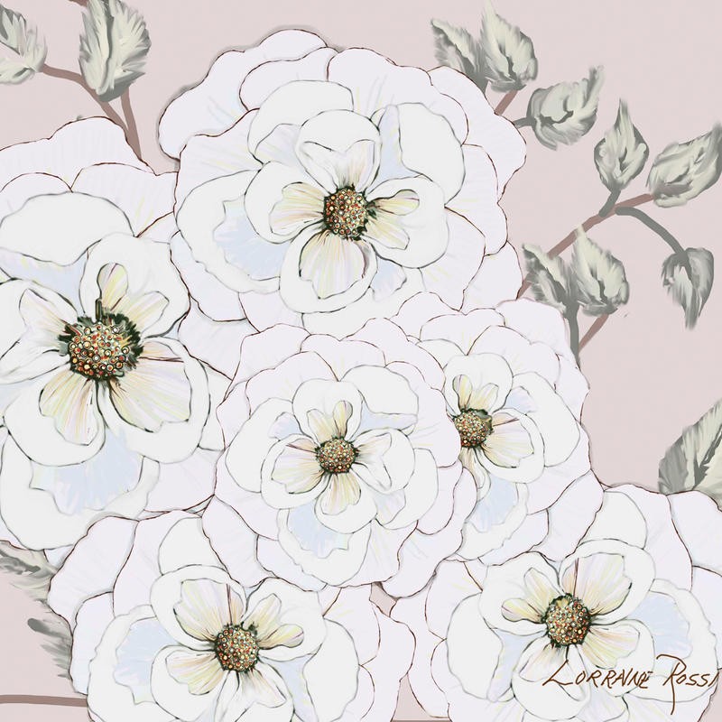 Rossi Lorraine, WHITE FLOWERS ON NUDE I (Rosen, Buschrosen, Blumen, Blüten, üppig, zart, Grafik, Wunschgröße, Wohnzimmer, Treppenhaus, Schlafzimmer, weiß)